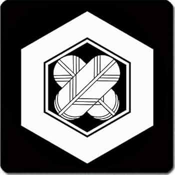 希少　信家　亀甲紋様鐔　縦75mm横69mm厚さ4mm 41+piYwW--L._AC_UF350,